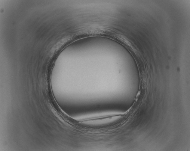 X0000077280677200611101318