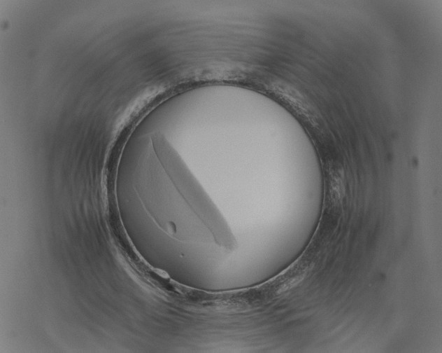 X0000077280678200611101318