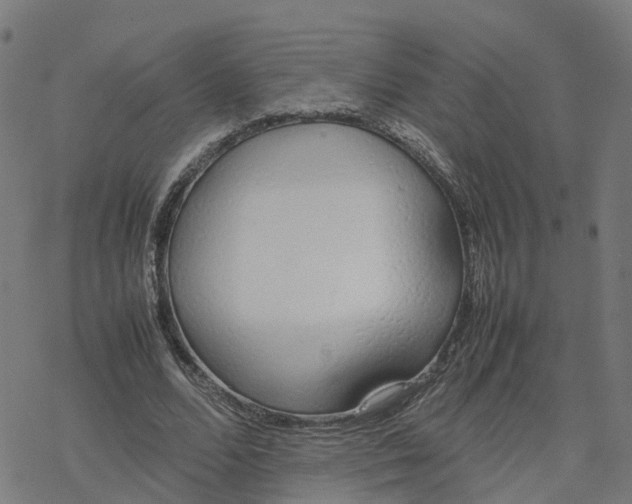 X0000077280680200611101318