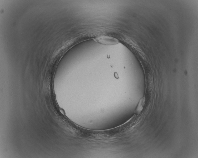 X0000077280681200611101318