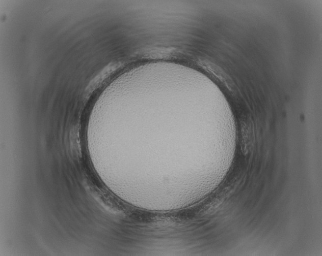 X0000077280682200611101318