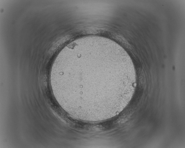 X0000077280683200611101318