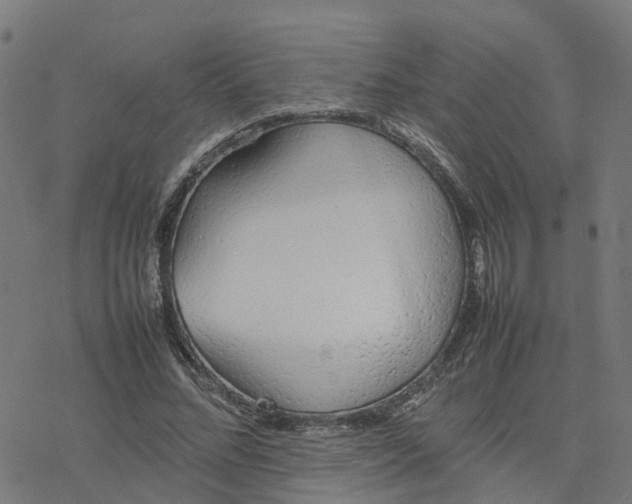 X0000077280684200611101318