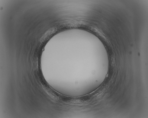 X0000077280685200611101318