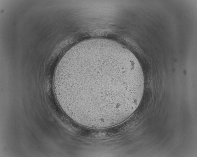 X0000077280687200611101318