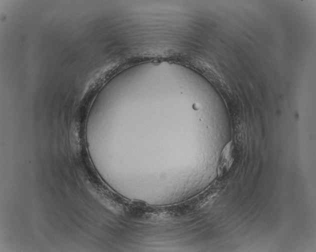 X0000077280688200611101318