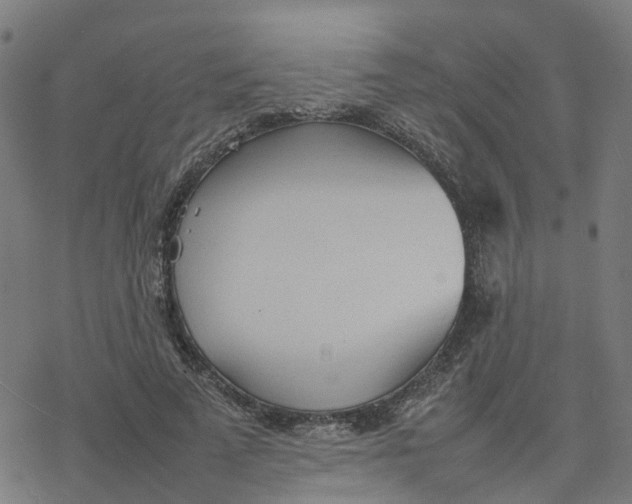 X0000077280689200611101318