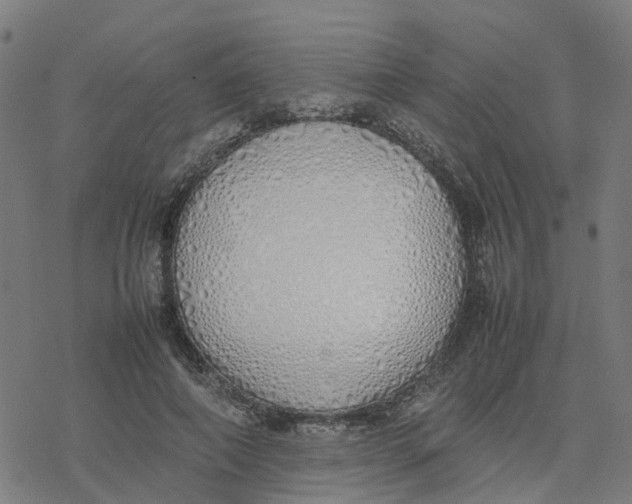 X0000077280690200611101318