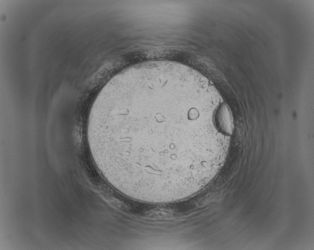 X0000077280691200611101318