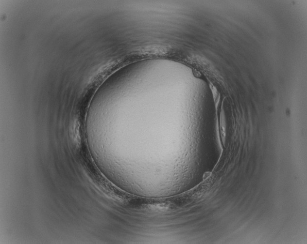 X0000077280692200611101318