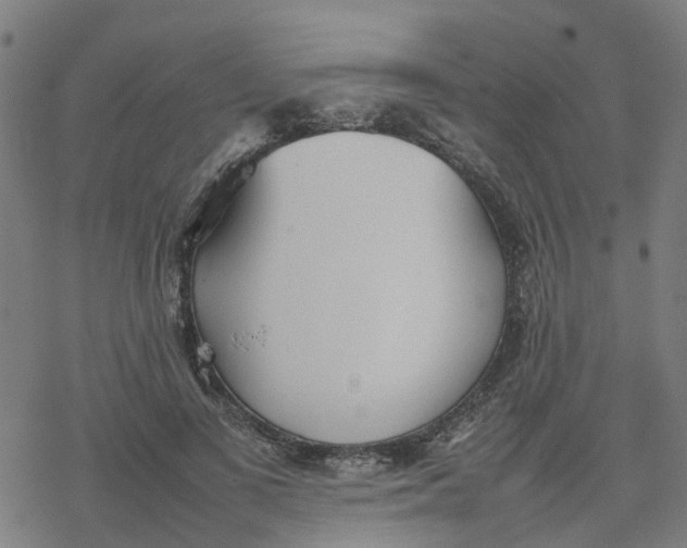 X0000077280693200611101318