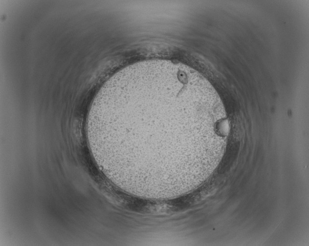 X0000077280695200611101318