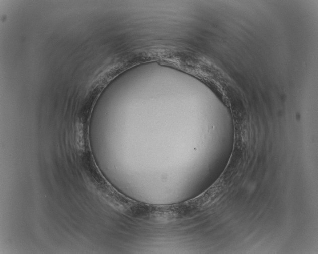 X0000077280696200611101318