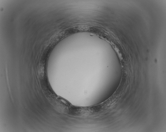 X0000077280697200611101318