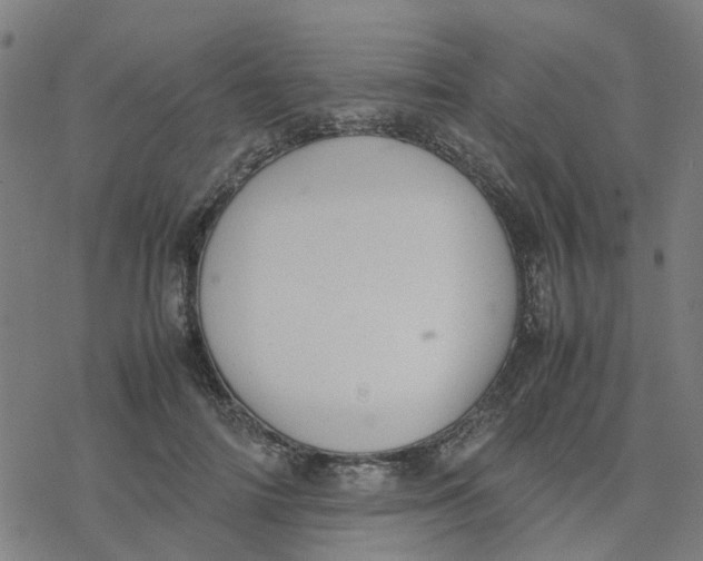 X0000077280698200611101318