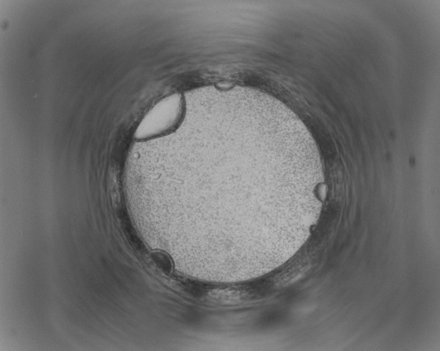 X0000077280699200611101318