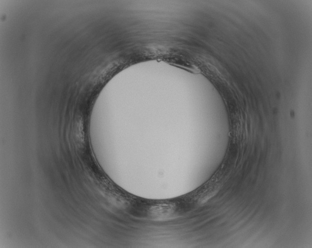 X0000077280700200611101318