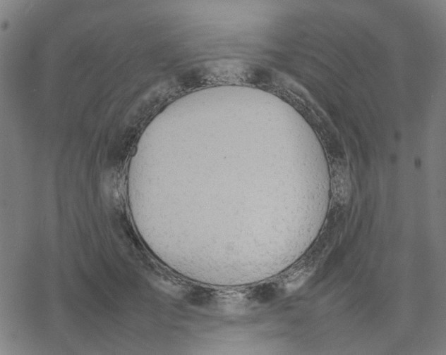 X0000077280701200611101318