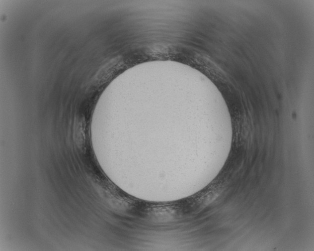 X0000077280702200611101318