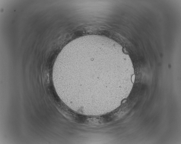 X0000077280703200611101318