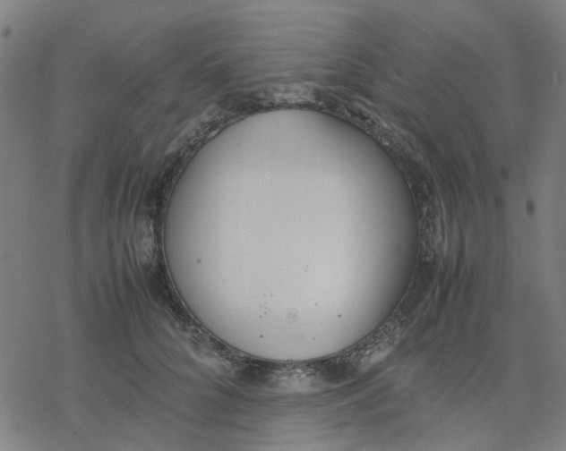 X0000077280704200611101318