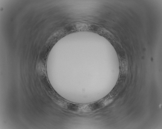 X0000077280705200611101318