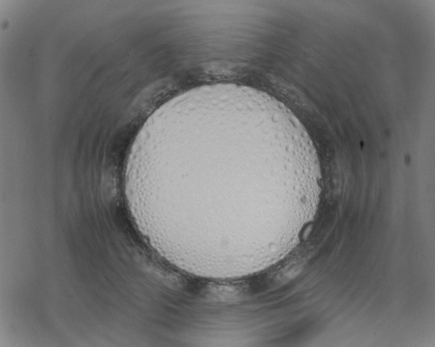 X0000077280706200611101318