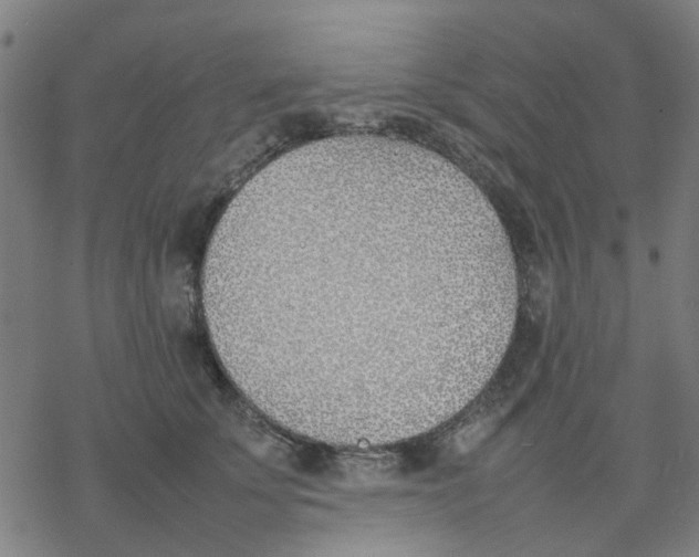 X0000077280707200611101318