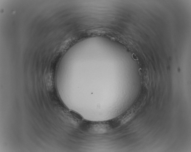 X0000077280708200611101318