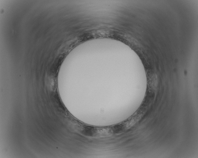 X0000077280709200611101318