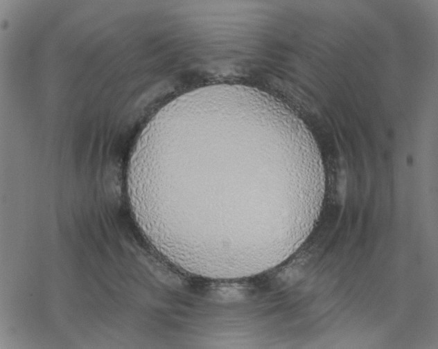 X0000077280710200611101318