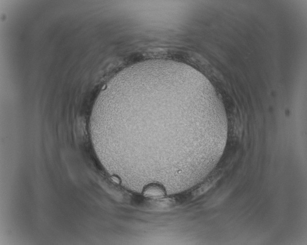 X0000077280711200611101318