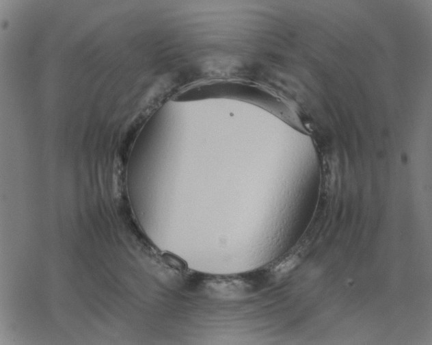 X0000077280712200611101318