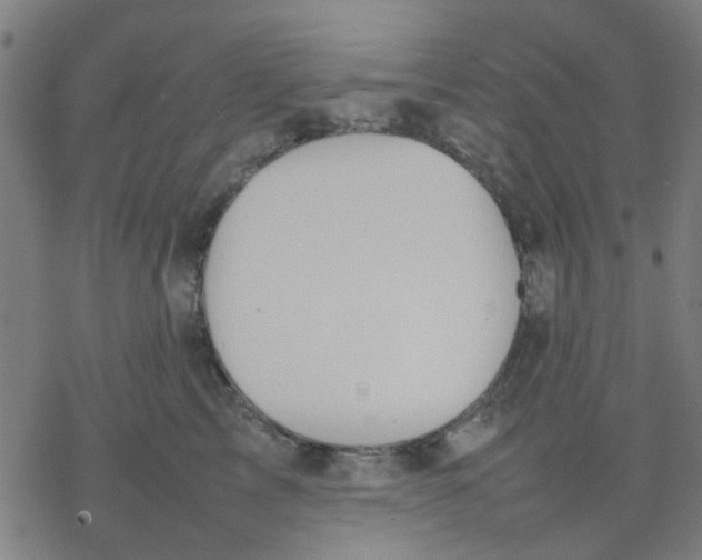 X0000077280713200611101318