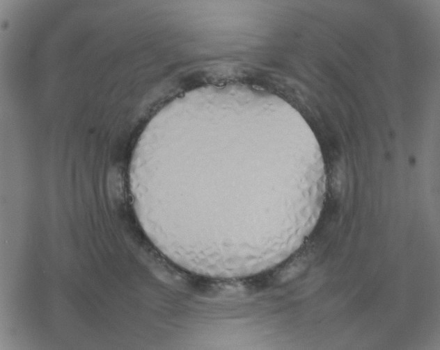 X0000077280715200611101318