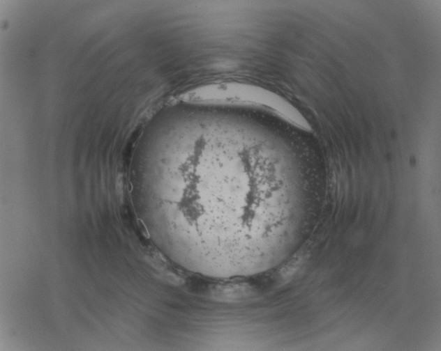 X0000077280716200611101318