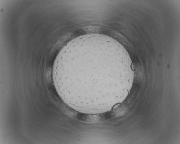 X0000077280717200611101318