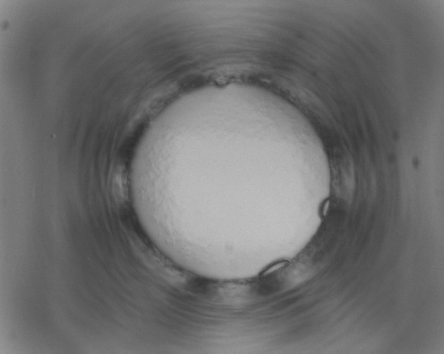 X0000077280718200611101318