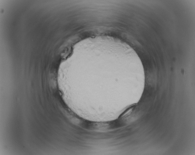 X0000077280719200611101318