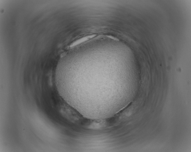 X0000077280720200611101318