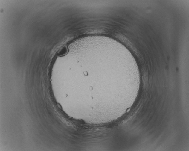 X0000077280721200611101317