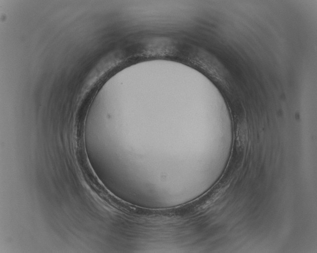 X0000077280722200611101317