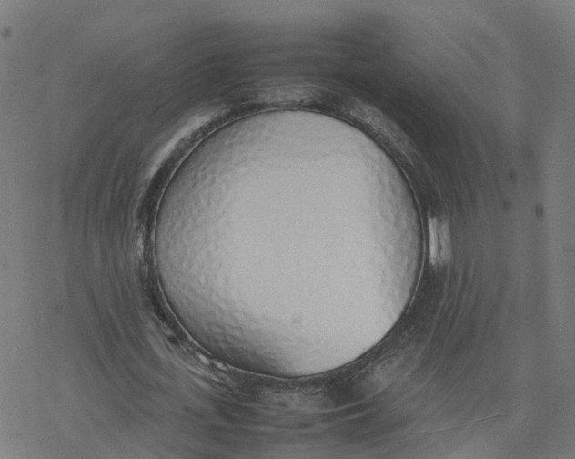 X0000077280723200611101317