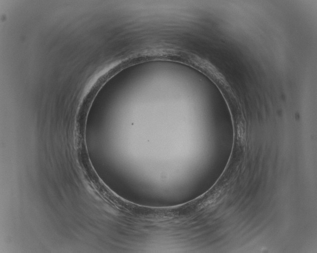 X0000077280724200611101317