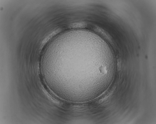 X0000077280725200611101317