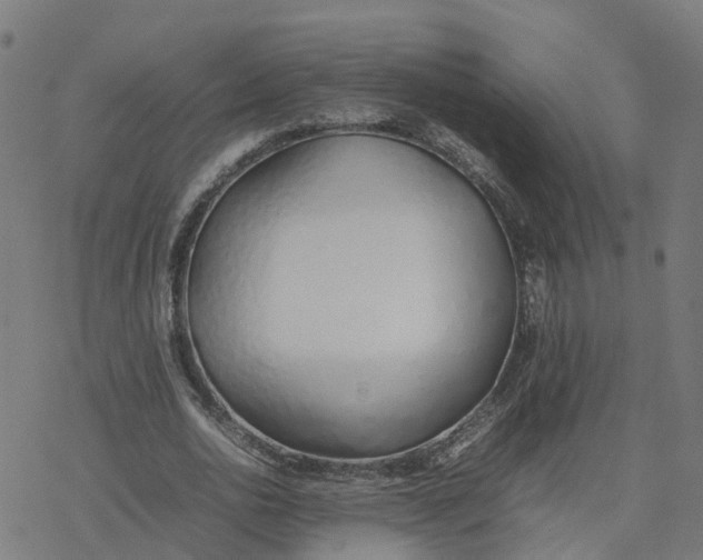 X0000077280726200611101317