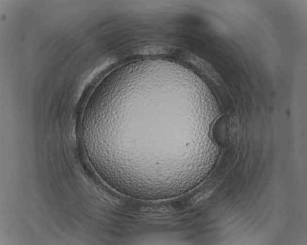 X0000077280727200611101317