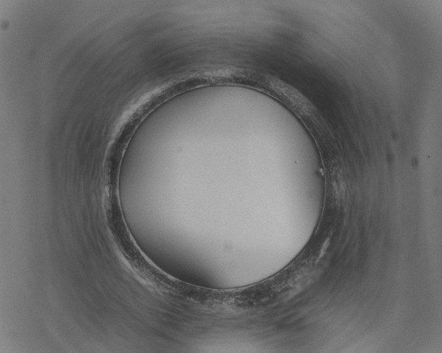 X0000077280728200611101317