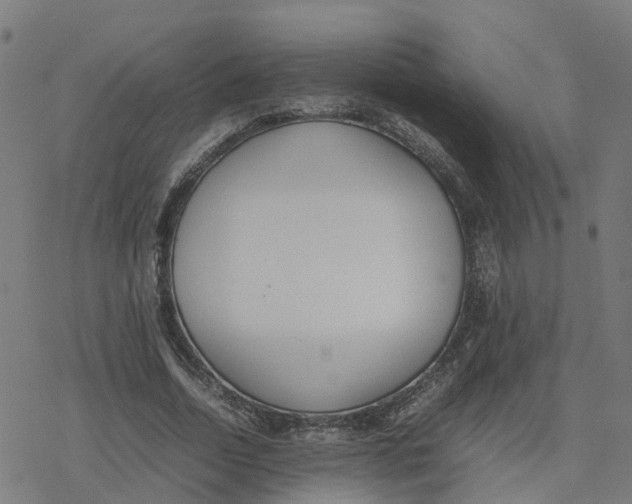 X0000077280730200611101317