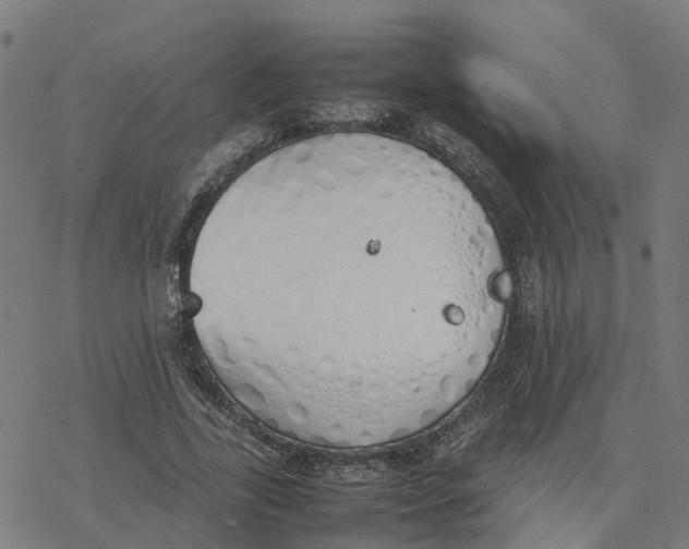 X0000077280731200611101317